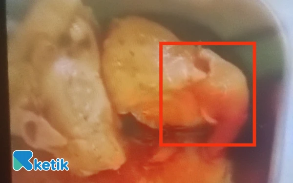 Thumbnail Berita - Waduh! Makan Berizi Gratis Perdana di Tambakboyo Tuban Ada Belatung Hingga Intimidasi Jurnalis