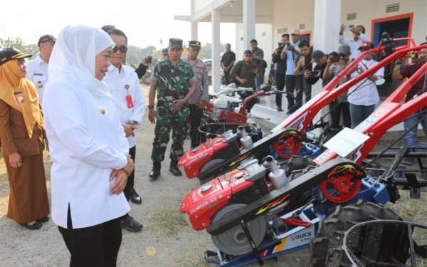 Thumbnail Berita - Gubernur Khofifah Salurkan Bantuan Alsintan ke 15 Gapoktan di Tuban, Dukung Penguatan Pangan Strategis Jatim