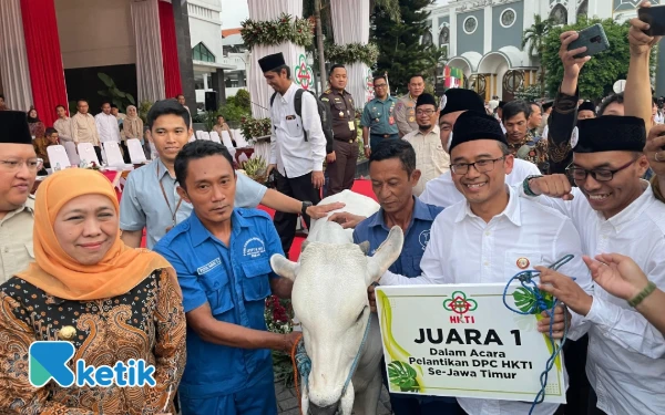 Thumbnail Berita - Raih Juara 1 Peserta Pelantikan Terbanyak, DPC HKTI Kabupaten Malang Bawa Pulang 1 Ekor Sapi