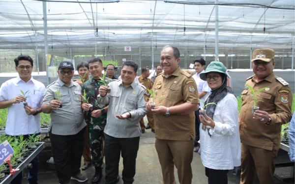Thumbnail Berita - Bupati Asahan Dampingi Plt Dirjen Perkebunan Kementan RI Tinjau Lokasi Cetak Sawah di Silo Bonto