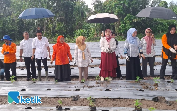 Thumbnail Wakil Bupati Halmahera Selatan Helmi Umar Muchsin turut serta dalam rangkaian kegitan Gerakan Tanam Cabai Serentak. Hadir pula Ketua DPRD Halsel Salma Samad serta Kepala Dinas Pertanian Agus Heriawan Rabu 6 Agustus 2025 (Foto: Mursal/Ketik)
