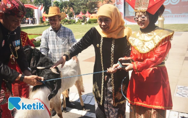 Thumbnail Berita - Ikut Upacara di Grahadi, Linda Bawa Pulang Kambing Etawa Hadiah dari Khofifah! Kok Bisa?