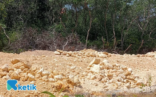 Thumbnail Berita - Reklamasi Ancam Ekosistem di Pesisir Camplong Sampang