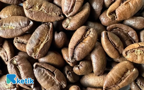 Thumbnail Berita - Kopi Liberika Bacan, Identitas Rasa Halmahera Selatan di AOE 2025