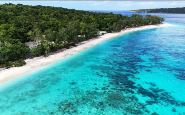 Thumbnail Berita - Petualangan Tak Terlupakan ke Pulau Jaco! Intip Keindahan Alam Timor Leste