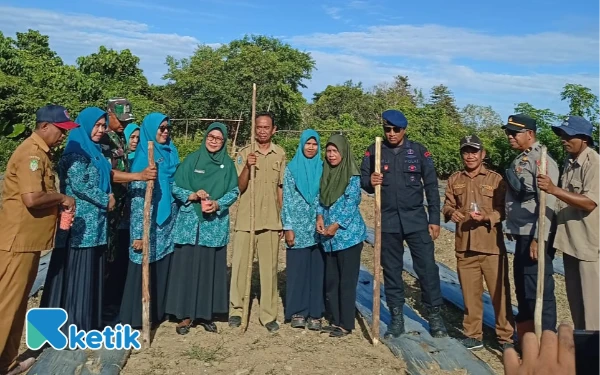 Thumbnail Berita - Pemdes Akegula Tanam Jagung 1 Hektare Dukung Ketahanan Pangan