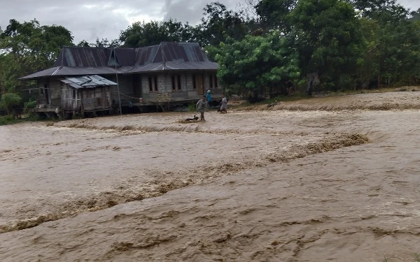 Thumbnail Berita - Banjir Bandang Nagekeo! Ini Kendala Tim Evakuasi Cari Korban Hilang