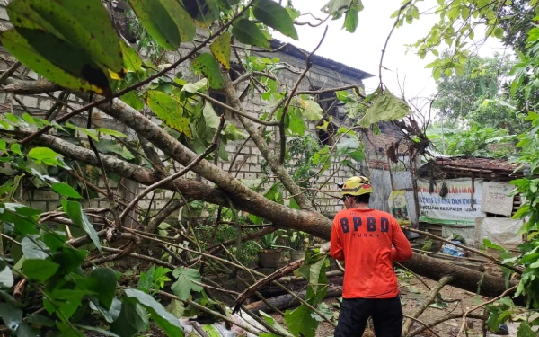 Thumbnail Berita - Tragedi Awal Oktober! BNPB Laporkan Sejumlah Bencana  di Sejumlah Daerah