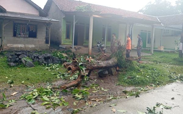 Thumbnail Berita - Cuaca Ekstrem Melanda, BNPB Catat Banjir dan Angin Kencang di Sejumlah Daerah