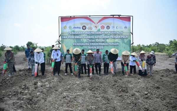 Thumbnail Dukung Swasembada Pangan, Polres Gresik Tanam Jagung Serentak Kuartal IV