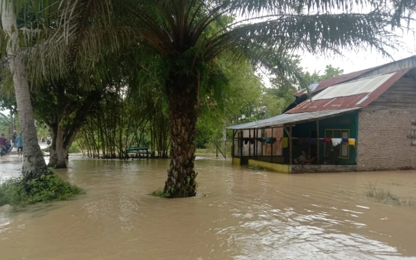 Thumbnail Berita - BNPB: Banjir dan Kebakaran Landa Sejumlah Wilayah Indonesia pada 12–13 Oktober 2025