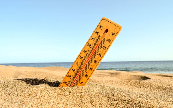 Thumbnail Berita - Indonesia Darurat Panas! Google Beri Peringatan 'Excessive Heat', Lakukan Ini Sekarang!