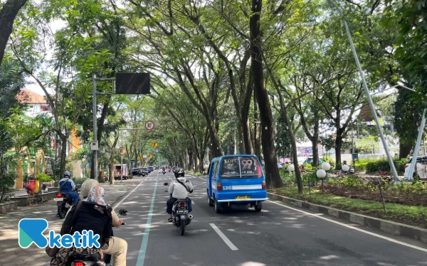 Thumbnail Berita - Siaga Musim Hujan, DLH Kota Malang Intensifkan Perempesan Pohon