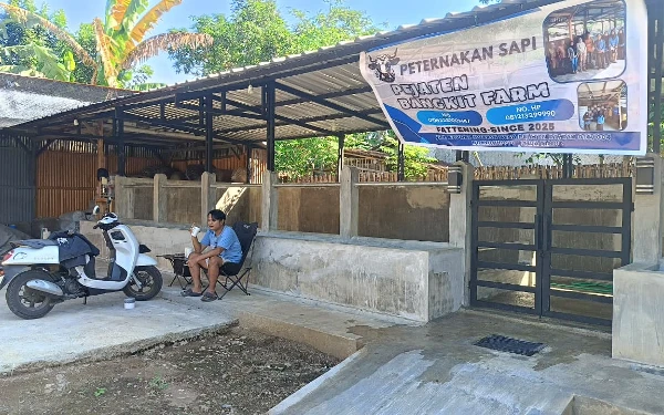 Thumbnail Berita - Bantuan Ternak Tak Cair, Poknak Bondowoso Keluhkan Kerugian Usai Buat Kandang