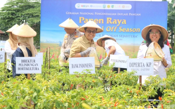 Thumbnail Berita - Cabai Off Season Ramah Lingkungan, Strategi BI Kediri Cegah Fluktuasi Harga dan Inflasi
