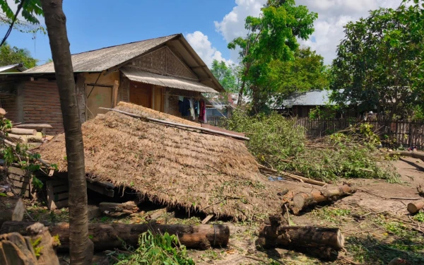 Thumbnail Berita - Rentetan Bencana Sepekan: BNPB Ungkap Dampak dari Puting Beliung hingga Kekeringan di Berbagai Daerah