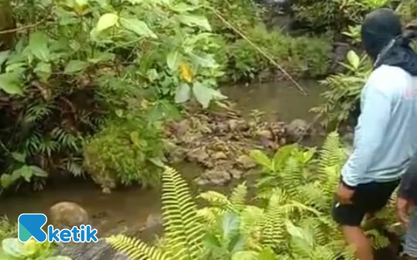 Thumbnail Berita - Limbah Peternakan Sapi Perah Masih Cemari Tiga Dusun di Blitar Selatan