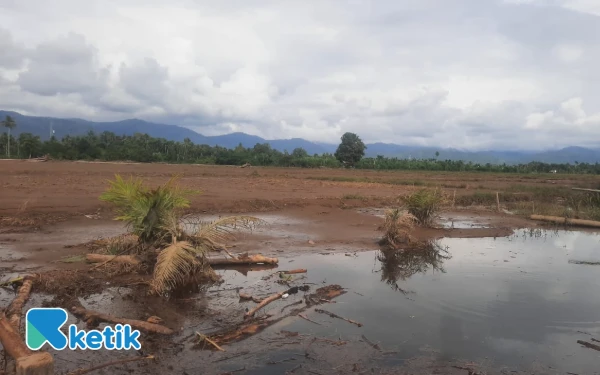 Thumbnail Berita - Puluhan Hektare Sawah di Abdya Rusak Akibat Banjir, Petani Terancam Gagal Tanam