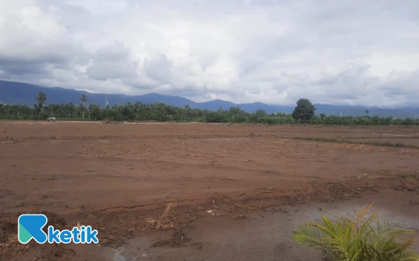 Thumbnail Berita - 20 Hektare Sawah di Abdya Rusak Akibat Banjir, Petani: Tidak Mungkin Lagi Ditanam Padi
