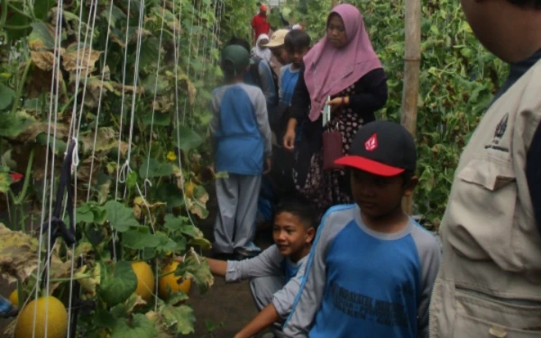 Thumbnail Berita - Tumbuhkan Kemandirian Ekonomi Desa, Pokdarwis Petiyintunggal Gandeng Mahasiswa KKN-T Unesa Gelar Agrowisata Petik Buah Melon