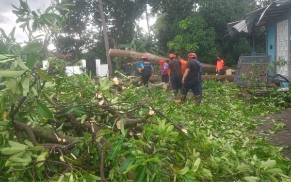 Thumbnail Berita - Banyuwangi Dilanda Puting Beliung, Lalu Lintas Tersendat dan Rumah Warga Rusak