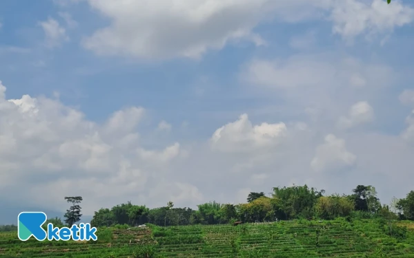 Thumbnail Berita - Cuaca Kota Semarang 18 November 2025 Hujan Ringan, Begitupun Kupang