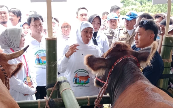 Thumbnail Berita - Dari Jatim untuk Indonesia! Gubernur Khofifah Targetkan Swasembada Pangan Dalam Genggaman, Ini Strateginya