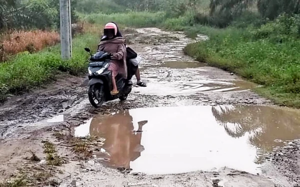 Thumbnail Berita - Dua Tahun Tak Kunjung Diperbaiki, Hujan Perparah Kerusakan Jalan Royal Cattleya Sosopan Labusel