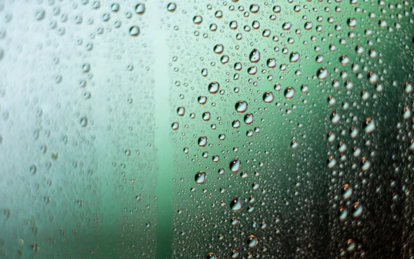 Thumbnail Berita - Kelembaban Udara Tinggi pada Akhir November 2025, BMKG Ungkap Penyebabnya