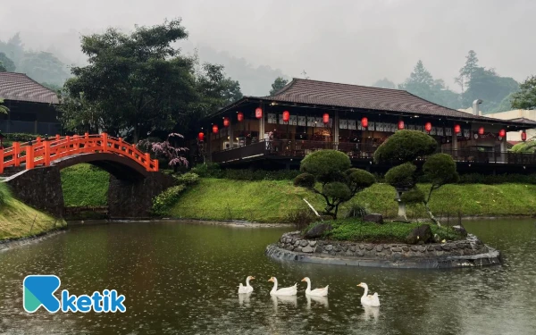 Thumbnail Indah banget menginap di sini, ada kolam dan angsa yang bikin hilang stres akibat banyak kerjaan. (Foto: Lutfia/Ketik.com)