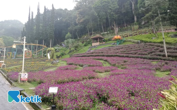 Thumbnail Taman bunga merupakan salah satu fasilitas yang ada di Taman Rekreasi Selecta Kota Batu. (Foto: Sholeh/Ketik.com)