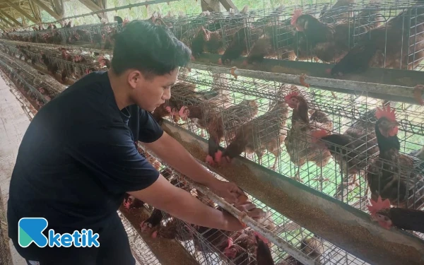 Thumbnail Berita - Trending Sepekan: Pemuda Pacitan Sukses Rintis Usaha Ayam Petelur hingga Dewan Kesenian Brebes Kecam Penggunaan BOS untuk Tiket Konser