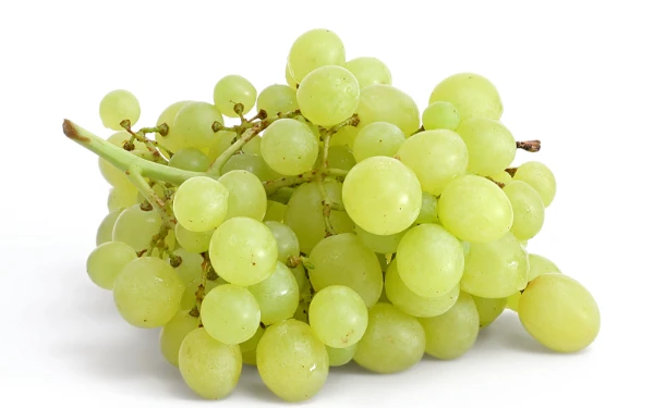 Thumbnail Berita - Makan 12 Buah Anggur di Bawah Meja, Tradisi Asal Spanyol yang Dipercaya Mendatangkan Keberuntungan