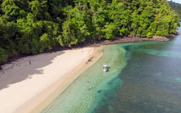 Thumbnail Berita - Akhir Tahun Membludak: Hotel Penuh, Kuliner Laris, Ekonomi Daerah Melesat!