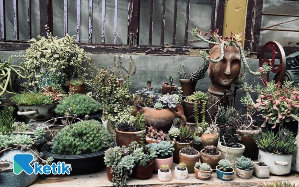 Thumbnail Retrorika Kafe tak hanya menjual makanan namun juga tanaman dan barang ramah lingkungan. (Foto: Lutf/Ketik.com)