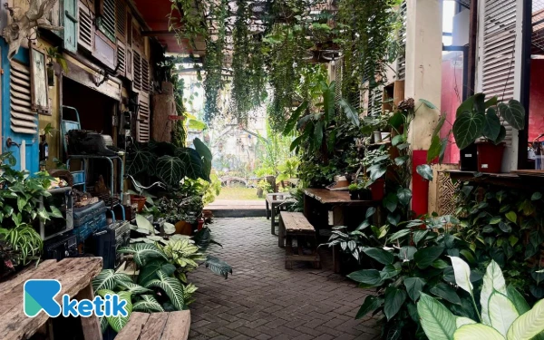 Thumbnail Suasana syahdu dan tenang di Retrorika Kafe, banyak tumbuhan dan spot aesthetic. (Foto: Lutf/Ketik.com)