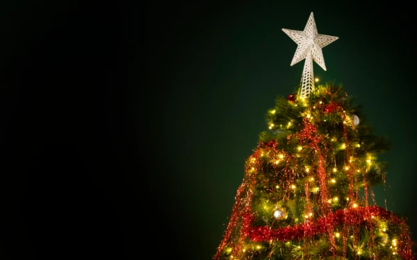 Thumbnail Berita - Sejarah dan Makna yang Tersimpan di Balik Gemerlap Pohon Natal