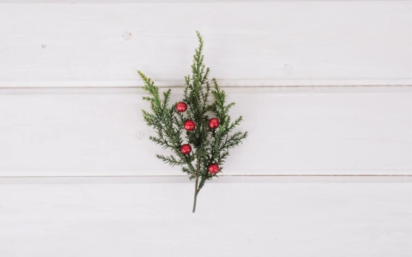 Thumbnail Berita - Mistletoe, Simbol Romantis Natal dalam Lagu Justin Bieber