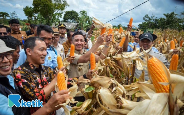 Thumbnail Berita - Panen Raya Jagung di Desa Padasuka, Bupati Lebak Tekankan Peran Pemuda untuk Ketahanan Pangan
