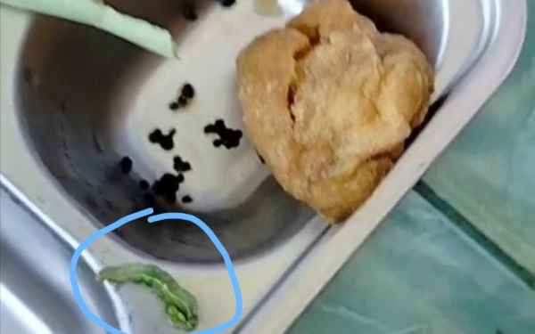 Thumbnail Berita - Siswa Sekolah Penerima Manfaat Makan Gizi Gratis Temukan Ulat Sayur dari SPPG Kedungrejo Kerek Tuban Yayasan Hamdalah Cerdas Amaliyah