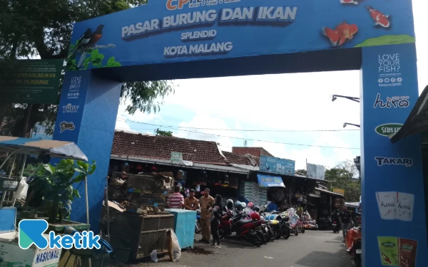 Thumbnail Berita - Pasar Splendid Jadi Pilihan Tepat Berburu Hewan dan Pernak-perniknya di Kota Malang