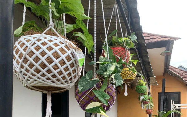 Thumbnail Berita - Kreatif Olah Tanaman Hias, Pelaku UMKM Kota Batu Ekspor Kokedama hingga Mancanegara