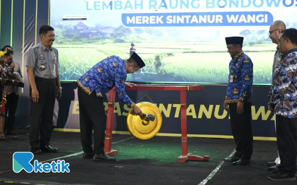 Thumbnail Berita - Beras Sintanur Lembah Raung Kantongi Indikasi Geografis, Bondowoso Mantapkan Kelas Pertanian Lokal