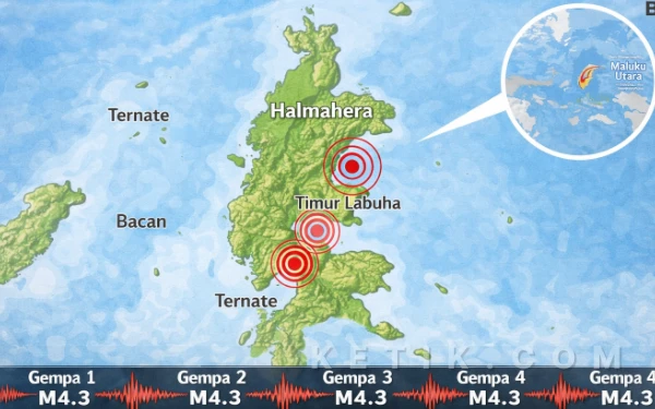 Thumbnail Berita - Gempa Dangkal M4,3 Terjadi di Timur Labuha Halmahera Selatan