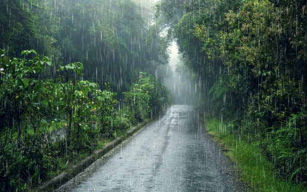 Thumbnail Berita - Prakiraan Cuaca Kota Pekalongan 11 Januari 2026, BMKG: Hujan Ringan