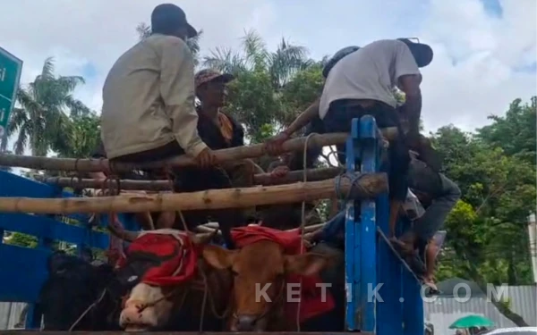 Thumbnail Berita - Pelaku Jagal Sapi Surabaya Mogok, Minta Pemkot Segera Tanggapi Tuntutan
