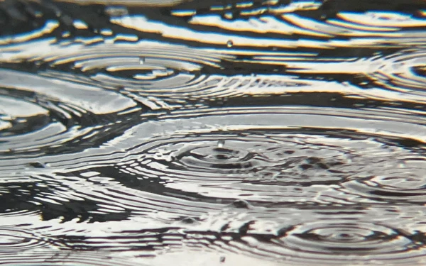 Thumbnail Berita - BMKG: Cuaca Kota Ternate 13 Januari 2026 Diprakirakan Hujan Sedang, Batam Cerah