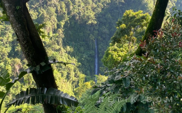 Thumbnail Berita - [FOTO] Menikmati Kesegaran Alami di Coban Srikandi Malang yang Memikat Mata