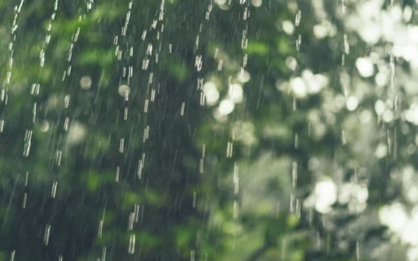 Thumbnail Berita - BMKG: Cuaca Kota Bogor 18 Januari 2026 Diprakirakan Hujan Ringan, Medan Cerah