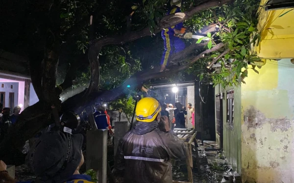 Thumbnail Berita - Banjir dan Angin Kencang Dominasi Kejadian Bencana, BNPB Imbau Waspada